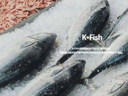 韓國水產協會上海貿易支援中心舉辦K-Seafood線上采購洽談會，助力國內貿易代理合作